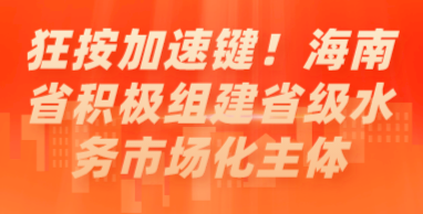 狂按加速鍵！海南省積極組建省級水務(wù)市場化主體